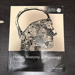 Human Anatomy & Physiology Global (First) Edition Book